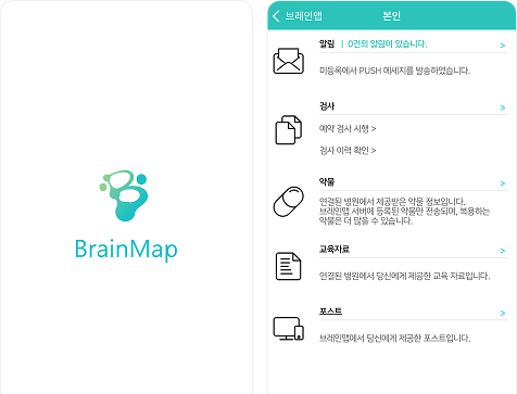 BrainMap